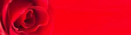 Horizontal banner background with a red rose on the left side. Valentines day. Copy space for your text. Mock up template. Can be used for wallpaper, wedding cards, web page bannerの写真素材