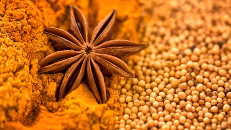 Different spices. Star anise, mustard seeds and turmeric powder. Close-up. Macroの写真素材