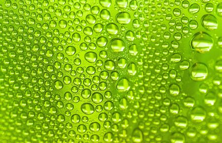 Close up water drops on light green tone background. Abstract light green wet texture with water drops on glass surface.  Raindrop, realistic pure water droplets, condensate, Selective focus.の写真素材