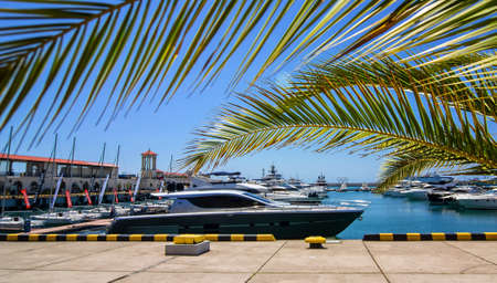 RUSSIA, SOCHI - JULY 15, 2020: yachts and boats anchored in the port of Sochiのeditorial素材