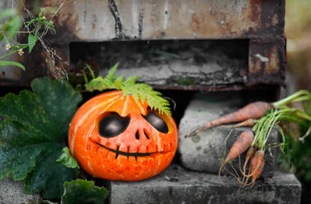 One Halloween pumpkin on an autumn day. Great spooky symbol of Halloweenの写真素材