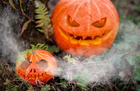 Steaming Halloween pumpkins in the autumn forest on an autumn day. Great spooky symbol of Halloweenの写真素材