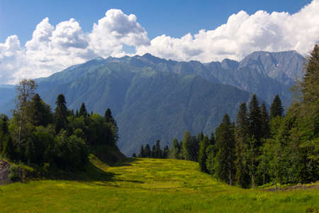 Beautiful mountain landscape on a Sunny summer day. Coniferous trees, blue sky with white cloudsの写真素材