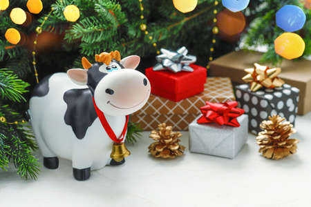 Toy bull with gifts, on the background of fir branches with Christmas lights. Symbol of the Chinese New year 2021, a symbol of new years mood. Holiday symbolの写真素材