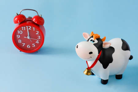 Toy bull on a blue background with a red alarm clock. Symbol of the Chinese New year 2021. New years mood.の写真素材