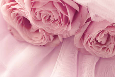 Pink roses on pink veil. Pastel colors. Abstract background. Macroの写真素材
