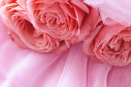 Pink roses on pink veil. Abstract background. Macroの写真素材