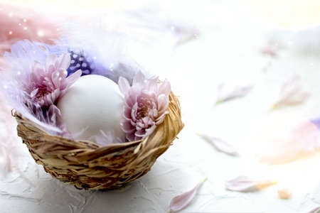 Easter egg in the small nest with feathers and flower petals on a light background. Painted quail eggs. Copy space. The Easter concept. Happy Easterの写真素材