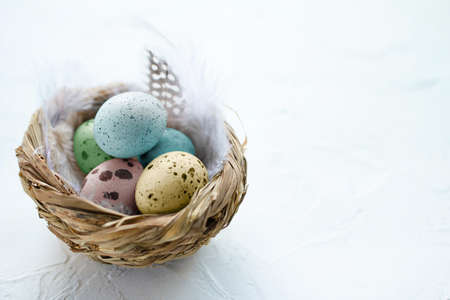 Colorful Easter eggs in the small nest with feathers on a light background. Copy space. The Easter concept. Happy Easterの写真素材