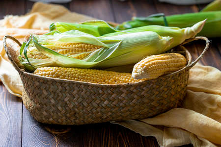 Fresh ears of corn in a wicker basket on a rustic wooden table. Close up.の写真素材