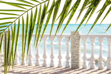 The resorts balcony or terrace overlooks the turquoise sea through the overhanging branches of a palm tree. Summer weekend at the sea. The concept of a tropical or Asian vacation.の写真素材
