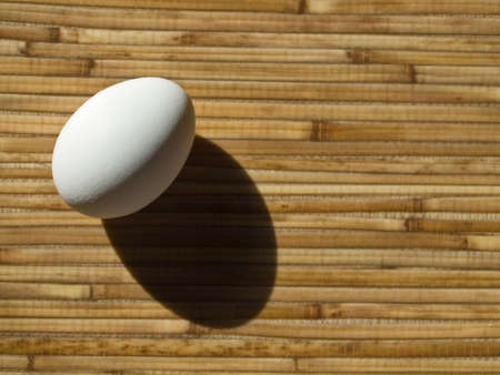 egg on brown background