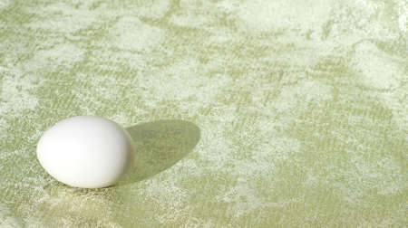 egg white on green fabricの写真素材