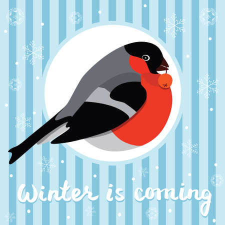 Bullfinch with rowanberry on blue background with snowflakesのイラスト素材