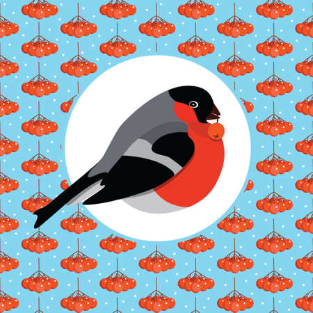 Bullfinch with rowanberry and berrries of rowan on blue backgriundのイラスト素材