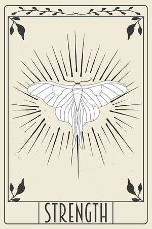 tarot card design, illustration in vector formatのイラスト素材