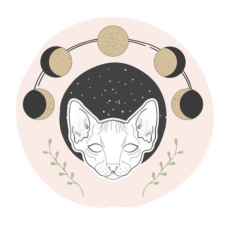 magical occult design, illustration in vector formatのイラスト素材