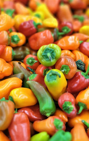 colorful peppers on the market
