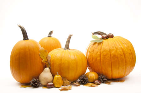a group of insolated pumpkins for halloween