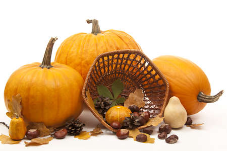 isolated orange pumpkins with chesnuts for halloweenの写真素材
