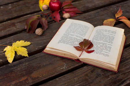 automs feeling, old book and colored leafの写真素材