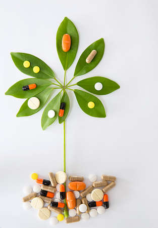 nature in medicine, homeopatie