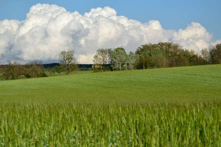 Spring landscapeの写真素材