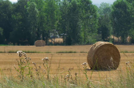 field finished harvest a summer day with bales of straw still thereの写真素材