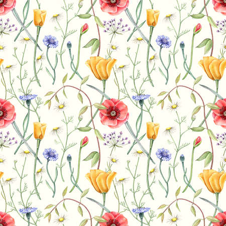 Seamless pattern with wildflowers. Hand drawn watercolor illustration.の写真素材