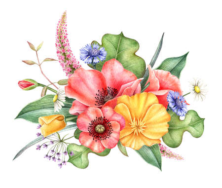 Wildflowers. Bouquet of red and yellow poppy, cornflowers, chamomile and herbs. Watercolor hand drawn illustration.の写真素材