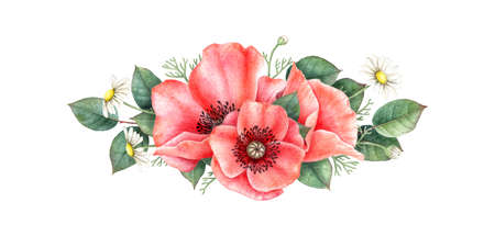 Watercolour botanical illustration. Floral composition with wild flowers and leaves.の写真素材