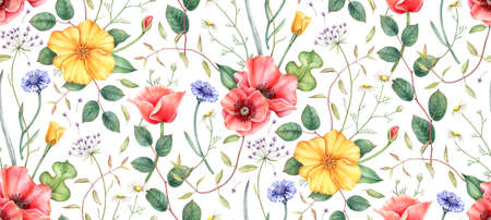 Seamless pattern with wildflowers and herbs. Hand drawn watercolor illustration.の写真素材