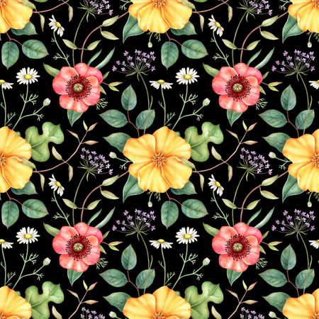 Seamless floral pattern with wildflowers on black background. Hand drawn watercolor illustration.の写真素材