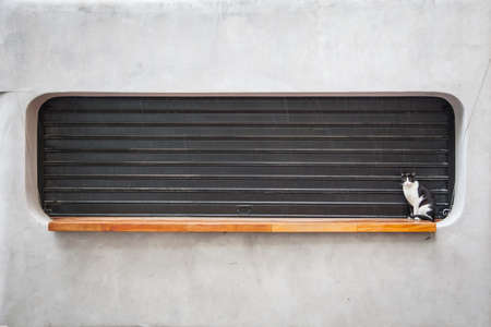 Cat sitting on a bakery closed windowの写真素材