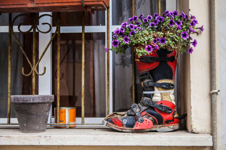 Flower pot made of biker bootの写真素材