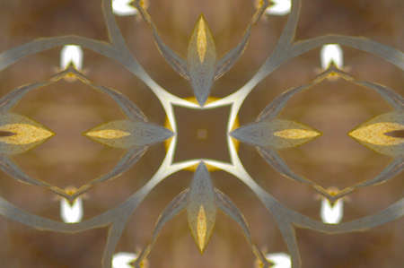 Abstract Golden Forms Pattern, coming from a fractal design.の写真素材