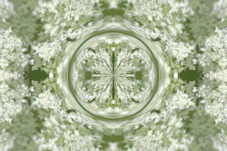 Kaleidoscope from little white flowersの写真素材