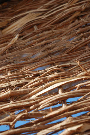 wall is wattled from a reedの写真素材