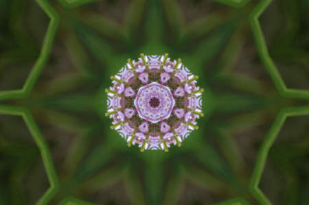 green and lilac decorative pattern