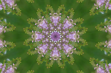 green and lilac decorative patternの写真素材