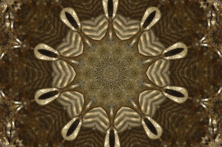 Abstract Golden Forms Pattern, coming from a fractal design.