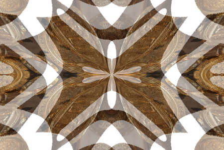 Abstract Golden Forms Pattern, coming from a fractal design.