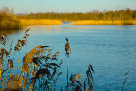 lake in a sun day early in springの写真素材