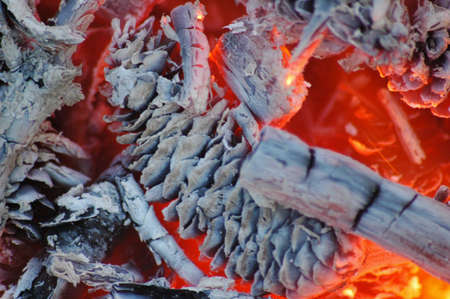 Fireの写真素材