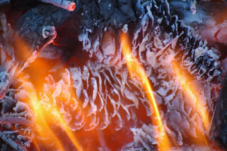 Fireの写真素材