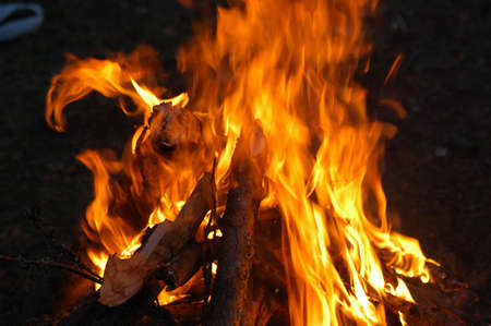 Fire