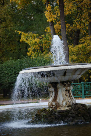  fountain is in an old parkの写真素材