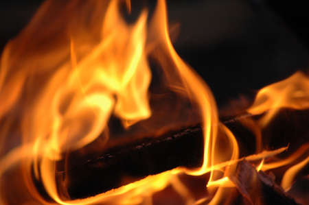 Fireの写真素材