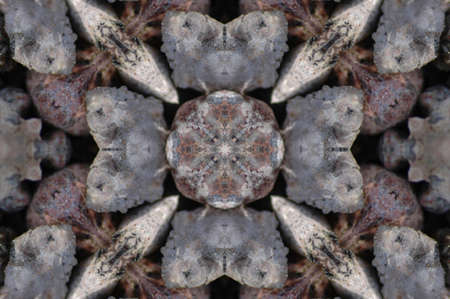 A kaleidoscope, abstract fantasy, illustration, can be used as a background