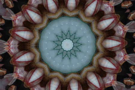 A kaleidoscope, abstract fantasy, illustration, can be used as a backgroundの写真素材
